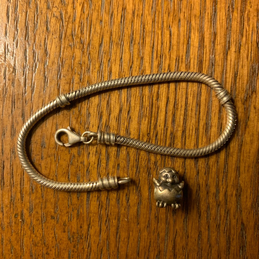 Pandora Bracelet